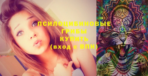 прущие крисы Белоозёрский