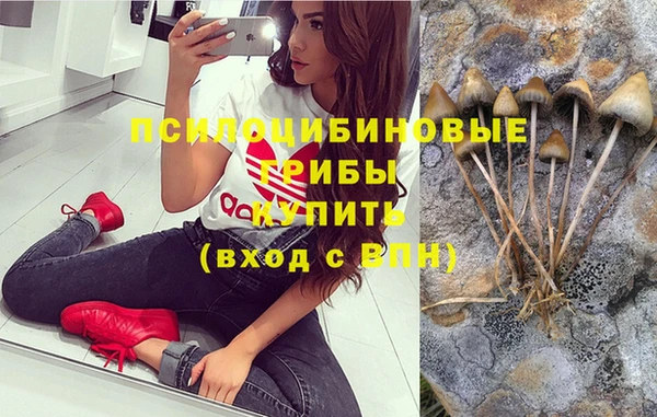 прущие крисы Белоозёрский