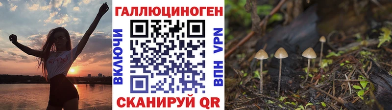 Псилоцибиновые грибы ЛСД  Кущёвская 